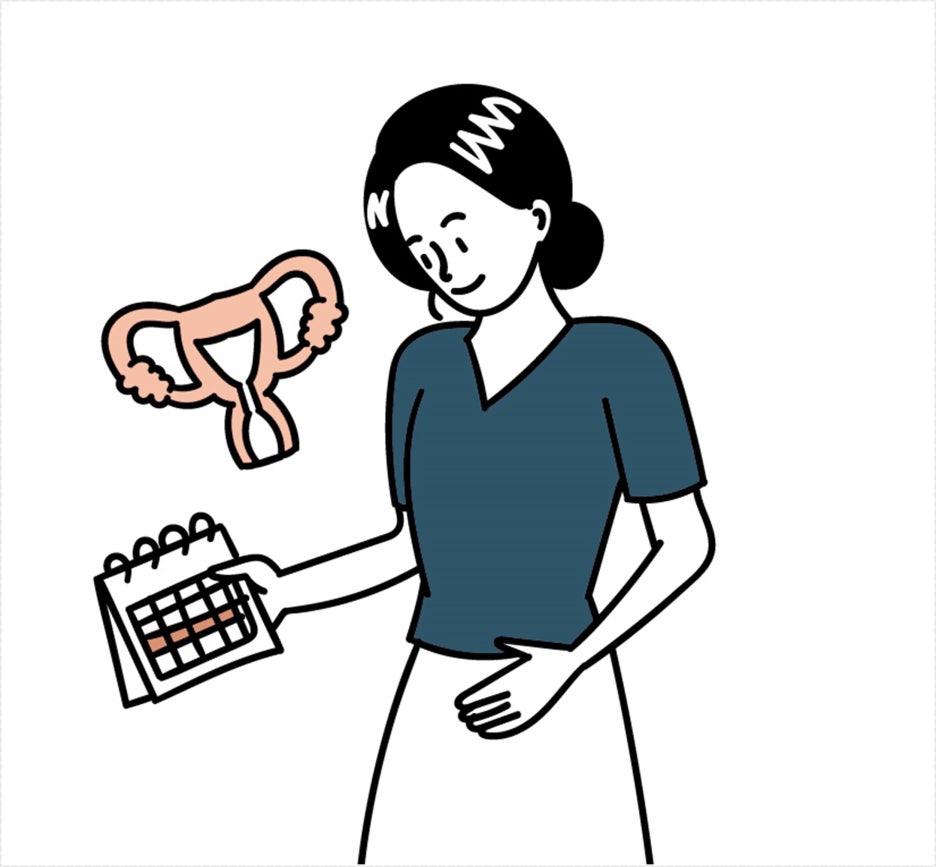생리주기에 따른 몸의 변화 일러스트
