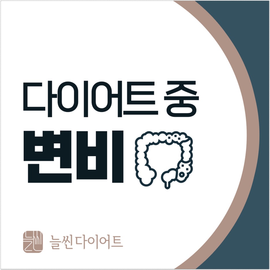 다이어트 중 변비, 왜 생기고 어떻게 해결할까요?