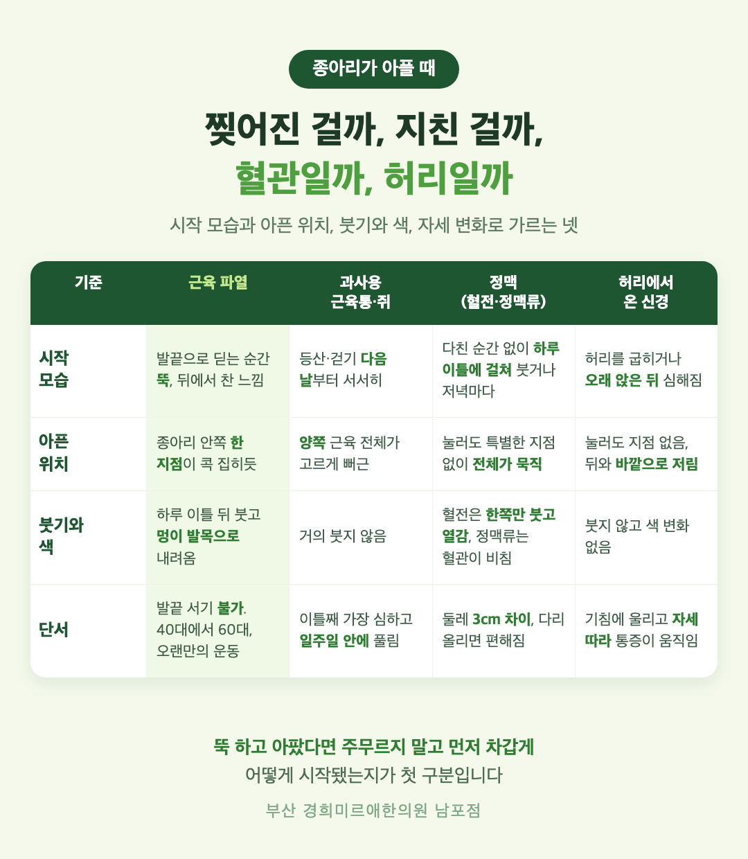 종아리 통증 감별표 - 근육 파열, 과사용 근육통과 쥐, 정맥 문제, 허리에서 온 신경 통증을 시작 모습과 아픈 위치, 붓기와 색, 단서로 가르는 기준 - 경희미르애한의원 남포점