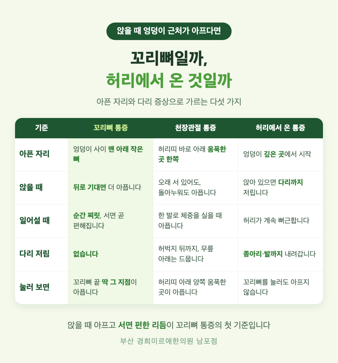 꼬리뼈 통증과 천장관절 통증, 허리에서 온 통증 비교 인포그래픽 - 아픈 자리와 앉을 때·일어설 때 변화, 다리 저림 여부와 누를 때 압통의 차이