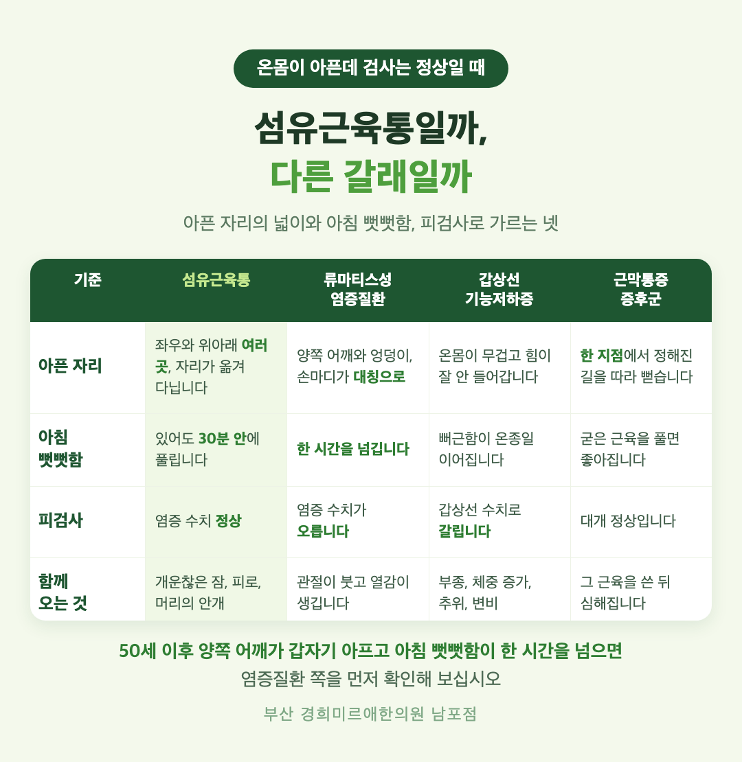 전신 통증 감별 인포그래픽 - 섬유근육통, 류마티스성 염증질환, 갑상선기능저하증, 근막통증증후군의 아픈 자리와 아침 경직, 검사 소견 비교