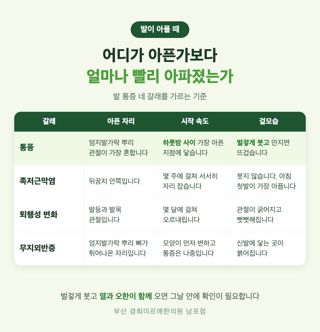 통풍과 족저근막염, 퇴행성 관절염, 무지외반증 비교 인포그래픽 - 통증이 시작되는 속도와 부위, 부기와 열감의 차이