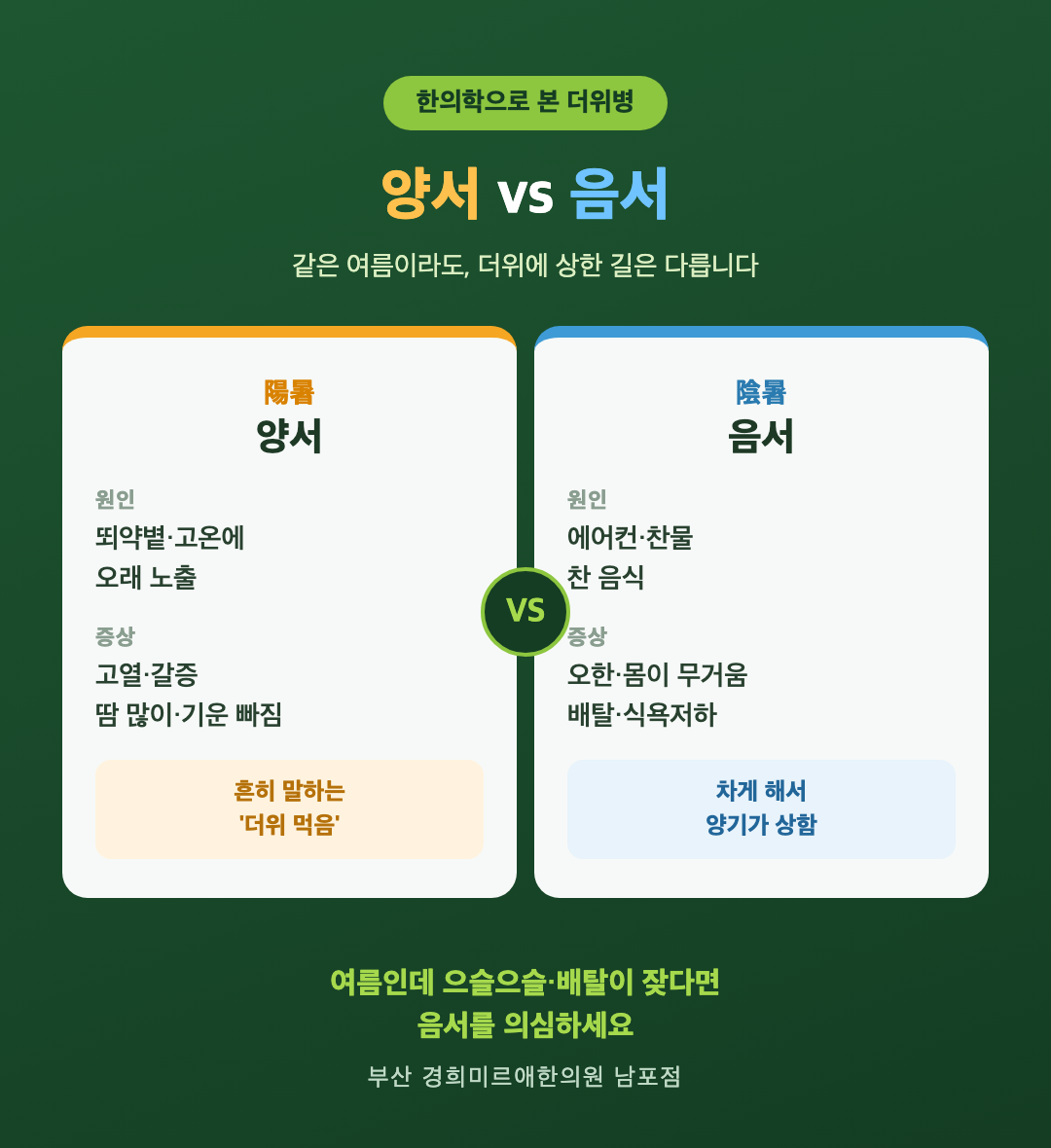 양서와 음서 비교 — 한의학으로 본 여름 더위병