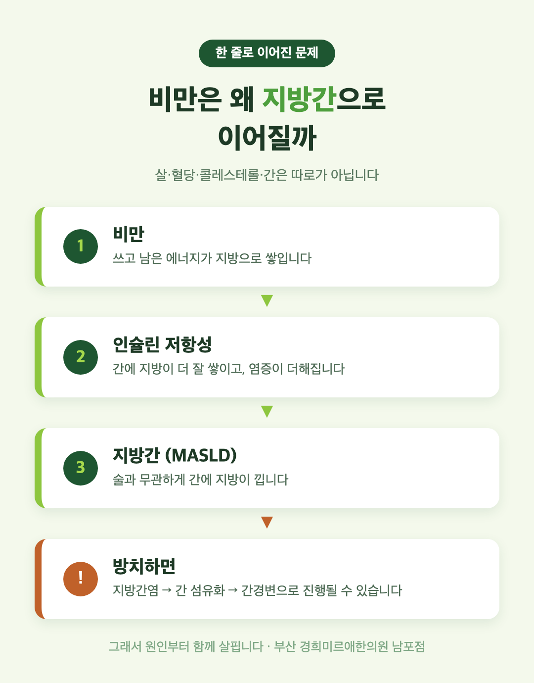 비만이 인슐린 저항성을 거쳐 지방간(MASLD)으로 이어지는 단계 — 부산 남포동 비만 한방관리 경희미르애한의원