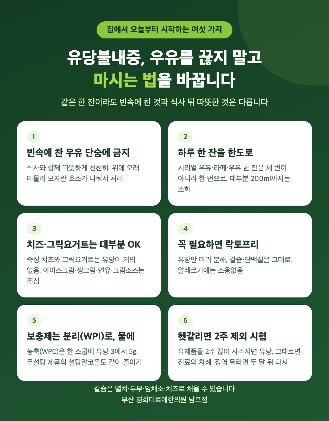 유당불내증 집에서 시작하는 여섯 가지 - 찬 우유 빈속 금지, 한 잔 한도, 치즈·그릭요거트, 락토프리, 분리 유청, 2주 제외 시험 - 경희미르애한의원 남포점