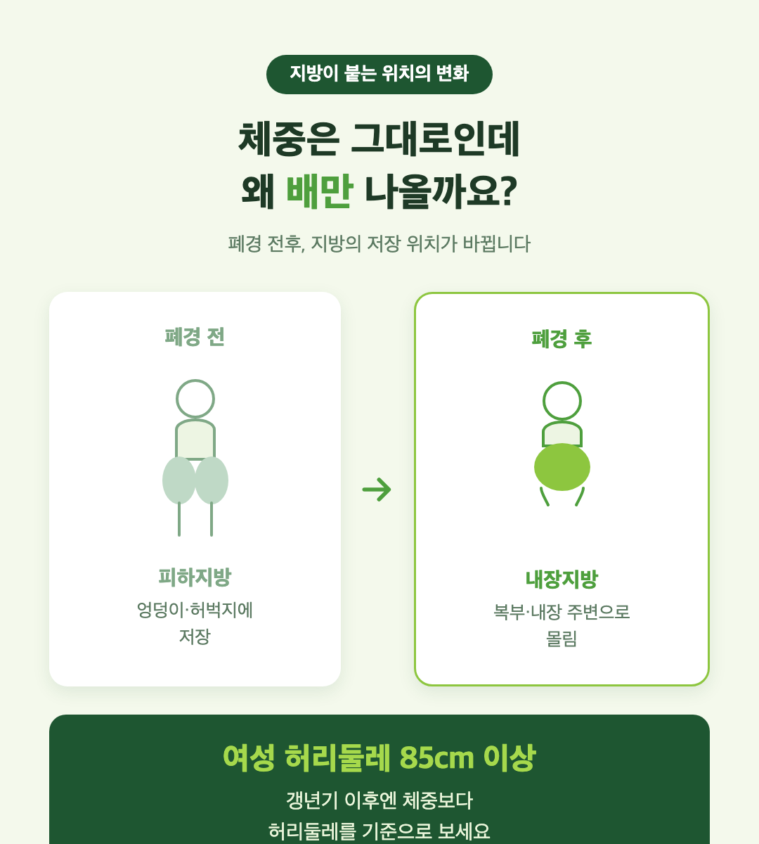 갱년기가 되니 살이 쪄요 — 먹는 건 그대로인데 왜 배만 나올까요?