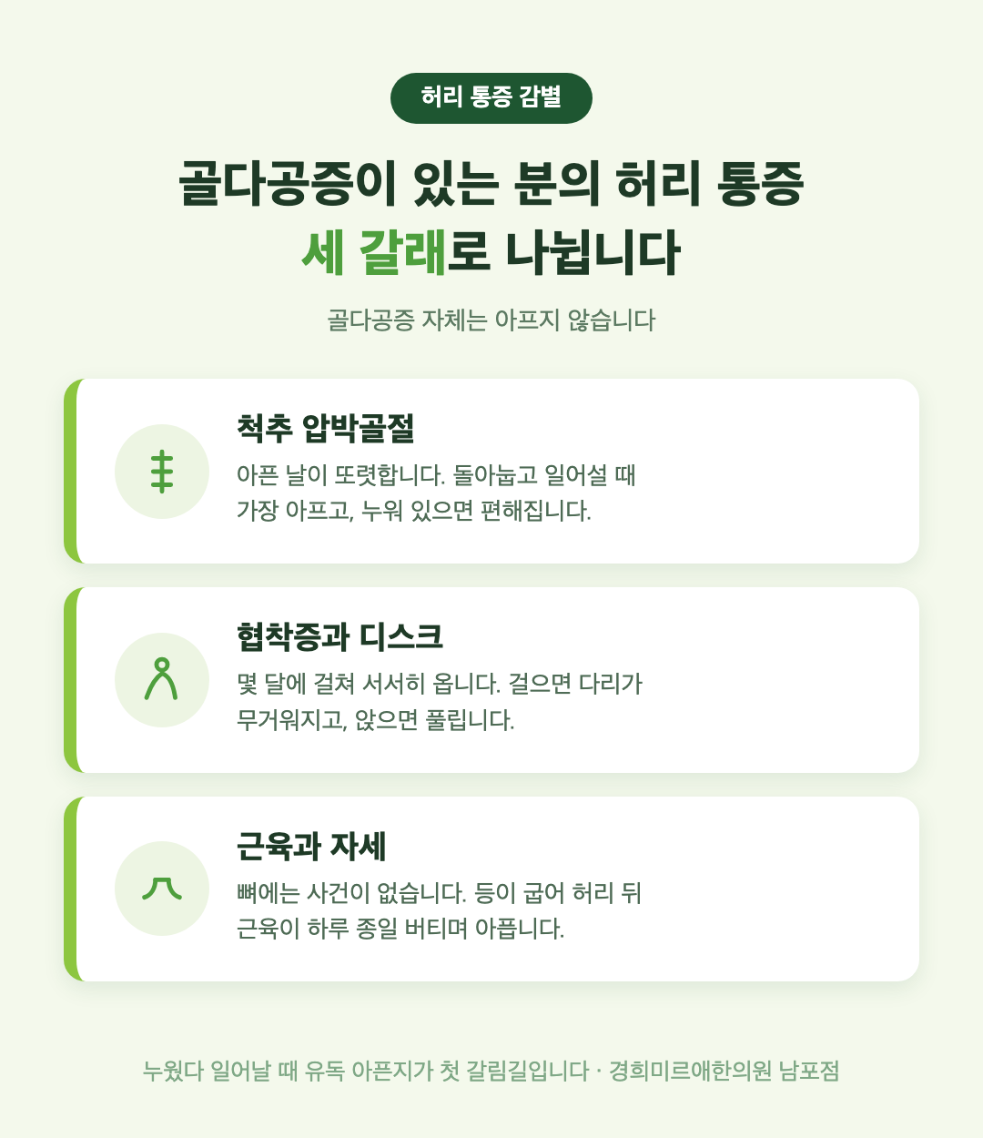 골다공증이 있는 분의 허리 통증 세 갈래 비교 인포그래픽 - 척추 압박골절, 협착증과 디스크, 근육과 자세