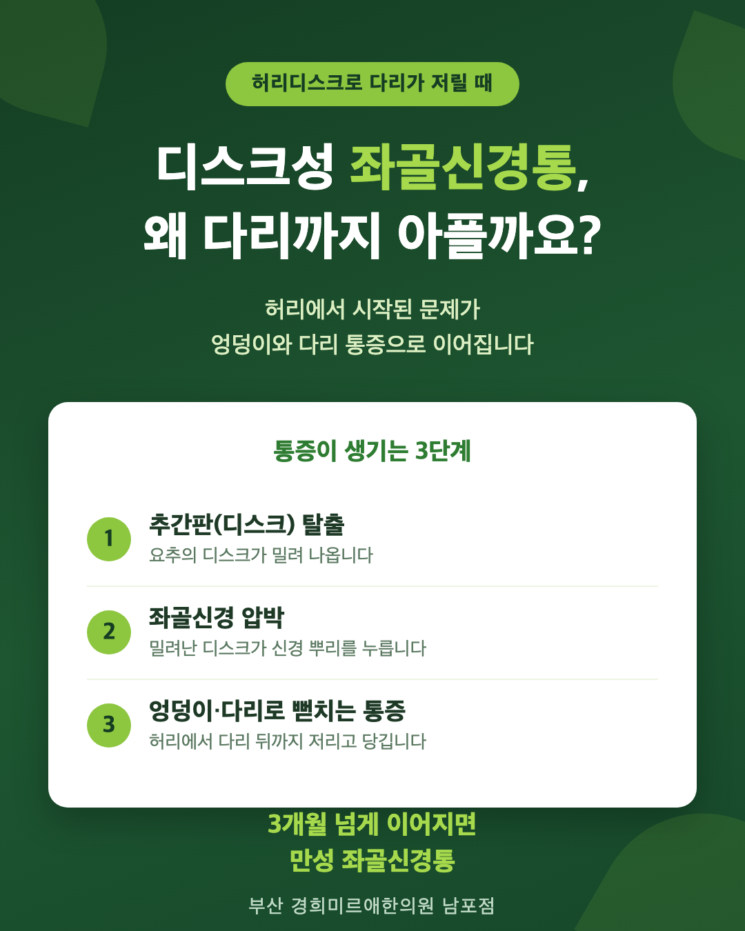 디스크성 좌골신경통, 침 치료가 정말 효과 있을까요? — 국제 의학저널 RCT 연구 (216명·1년 추적)