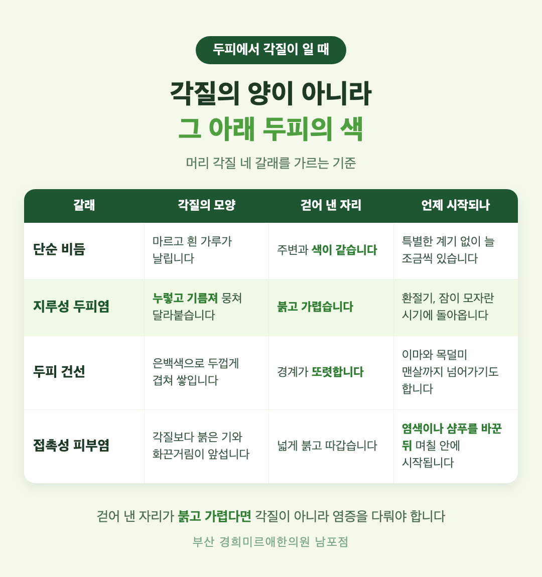 단순 비듬과 지루성 두피염, 두피 건선, 접촉성 피부염 비교 인포그래픽 - 각질의 모양과 두피 색, 가려움과 시작 시점의 차이